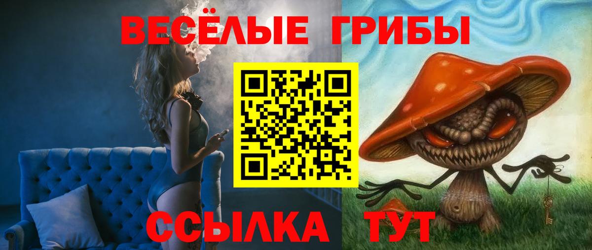 Псилоцибиновые грибы мухоморы Псков